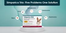 Buy Simparica TRIO for Dog Supplies at Lowest Price -  CanadaVetExpress