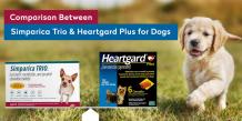 simparica-trio-and-heartgard-plus-for-dogs