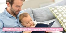 What is The Single Surrogacy Cost in Georgia 2021?