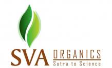 Cassia Essential Oil by SVA Naturals 