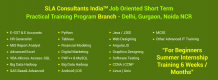 SLA Consultants India - Digital Marketing Training Institute in Delhi - computers & internet listing in India | eduStudy