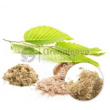 Bulk Slippery Elm Bark Powder, organic foods, herbal ingredients, food industry