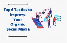 Top 6 Tactics to Improve Your Organic Social Media