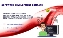 software development company in patna