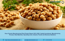 Soya Chunks Manufacturing Plant Cost, Project Report, Industry Trends, Business Plan, Machinery Requirements, Raw Materials, Cost and Revenue 2021-2026 &#8211; Domestic Violence