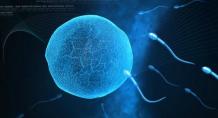 Male and Female Infertility Doctor in Indore | IVF Specialist