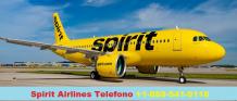 Spirit Airlines Telefono