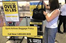 Spirit Airlines Baggage Policy 855-635-3039 Baggage Fees, Rules, Weight Limits, Allowance