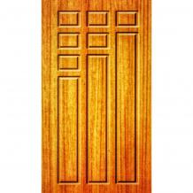 Buy 2D Doors in Lucknow Online |  2D Doors