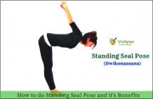 Standing yoga seal pose