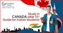 Top Colleges to Study MBA in Canada