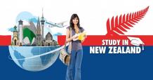 4 Things to Consider While Selecting a University in New Zealand &#8211; Webvk