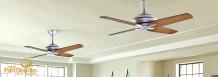 Stylish Ceiling Fans