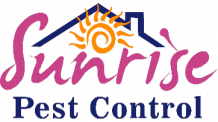 Rodent Pest Control Services in Melbourne and Surrounding Areas | sunrisepestcontrol