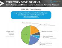 TAM – The First Step Every Territory Sales Rep Must Take