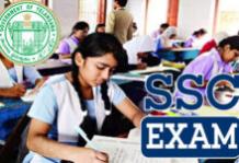 Telangana SSC 10th Grade Examination 2024 Timetable Released: Full Schedule and Timings