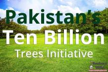 SeekersWiki | How Ten Billion Trees Initiative Will Change Pakistan’s Environment?