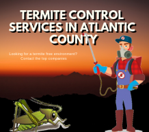 How to Control the Destructive Termites? &#8211; Pest Management Services