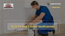 Termite Pest Control South Jersey - Gifyu