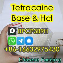 Tetracaine Base