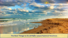 The Best Things to Do at Padre Island National Seashore - AtoAllinks