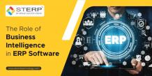 Role of Business Intelligence in ERP Software