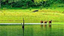 Kerala Group Tour Packages with Price - Starting ₹4950/-