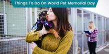 World Pet Memorial Day - CanadaVetCare Blog