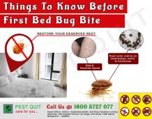 Things To Know Before First Bed Bug Bite | Pest Quit