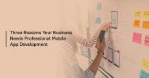 Three Reasons Your Business Needs Professional Mobile App Development