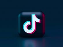 How to Add TikTok Feeds on Shopify Store &#8211; TheSocialTech