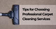 Tips for Choosing Professional Carpet Cleaning Services | Ozzy Master Cleaner