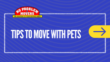 Top Tips To Move with Pets - No Problem Movers