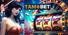 Tips to Maximize Fun and Profit in Playing Slot Games Responsibly - Tamabet App Online Gambling