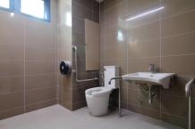 Handicap Toilet Seats Features With Handles