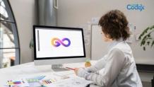 Top 5 Online Graphic Design Software &amp; Tools in 2022