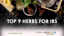 Top herbs for IBS 