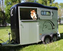          Single Horse Trailers | Cheval Trailers  