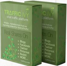 Traffic Ivy Review