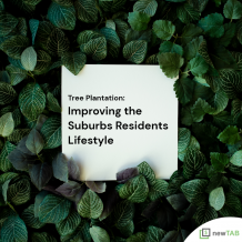 Tree Plantation: Improving the Suburbs Residents Lifestyle 