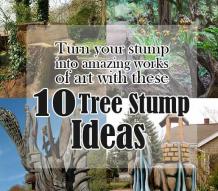 Tree Stump Ideas | Turn Stumps Into an Amazing Work of Art - Blog