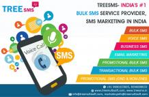 Bulk SMS Provider in Mizoram