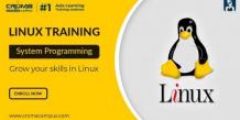 Why Is Linux Important and How to Learn?