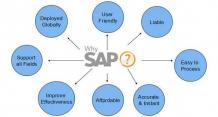 What is SAP?