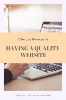 Savannah Web —Importance of a Quality Website