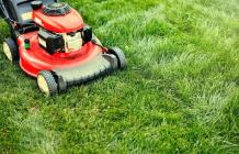 Reel lawn mowers - Exercise while cutting