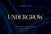 Undergrow Font Free Download Similar | FreeFontify