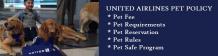 United Airlines Pet Policy, Pet Cargo Phone Number and Fee