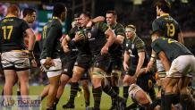 South Africa Vs Ireland &#8211; Can Rugby World Cup 2023 heal South Africa&#8217;s wounds &#8211; Rugby World Cup Tickets | RWC Tickets | France Rugby World Cup Tickets |  Rugby World Cup 2023 Tickets