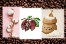 Online Commodity Trading Rules, Benefits and Risks | BAAZEX